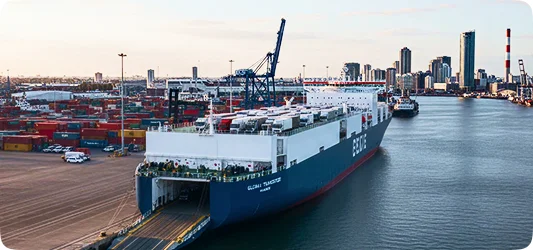 Ролкеры (Ro-Ro суда)