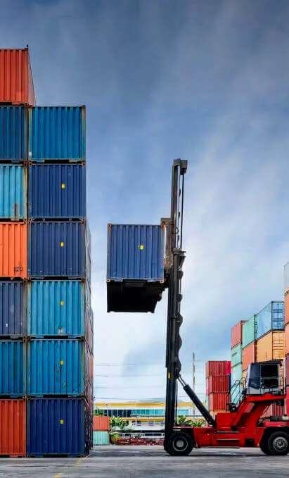 Портовое экспедирование